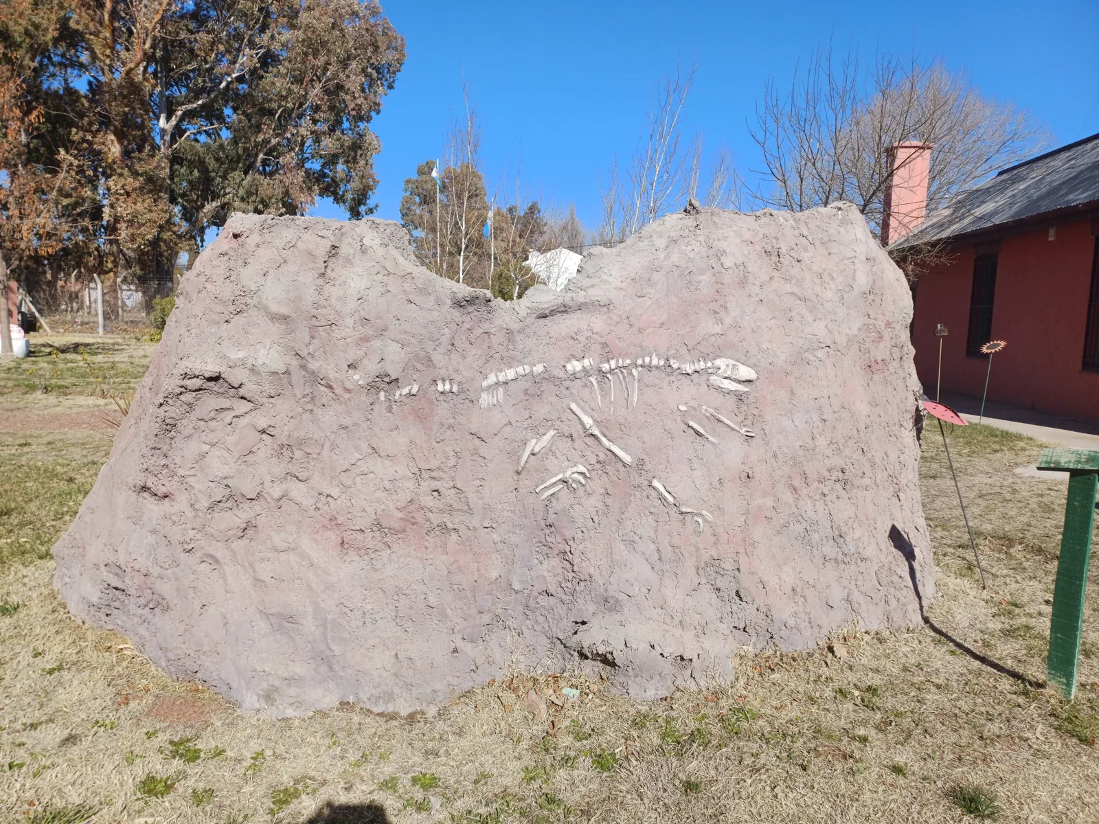 Réplica de fósiles de dinosaurio en el Museo de Ciencias Naturales de Senillosa